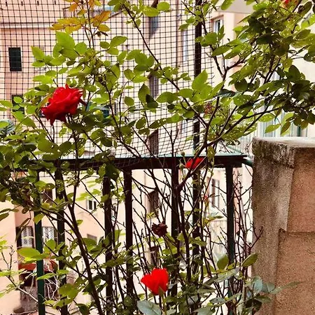 Un Piacevole Turistico Appartement
